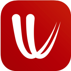 Windy logo